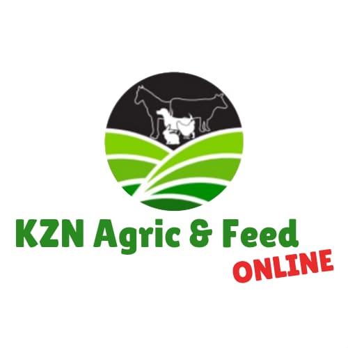 Online Store Icon