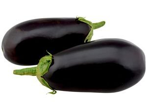 Black King Brinjal Seedlings