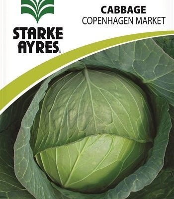 Cabbage - Coppenhagen Market - Starke Ayres Seeds
