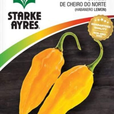 Chilli De Cheiro Do Norte - Yellow - Habanero Lemon Starke Ayres Seeds