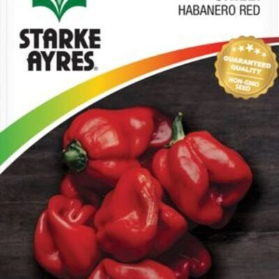Chilli Habanero - Red (Extra Hot) Starke Ayres Seeds