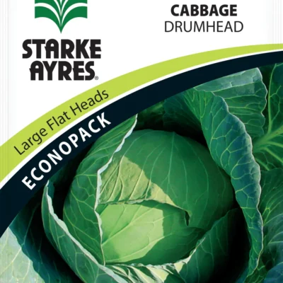 Cabbage Drumhead ECONOPACK Starke Ayres Seeds