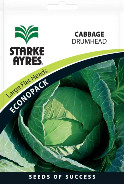 Cabbage Drumhead ECONOPACK Starke Ayres Seeds