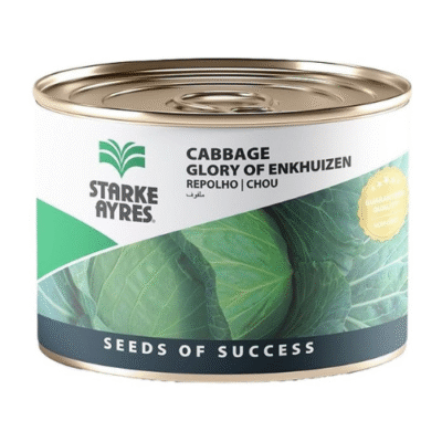 Cabbage Seeds Tin - Glory of Enkhuizen  100g