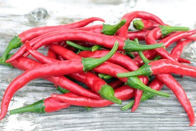 Chilli Long Slim Cayenne Seedlings