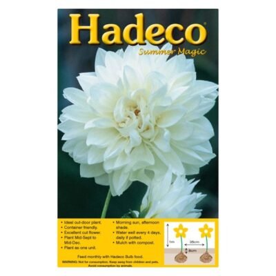 HADECO Dahlia Bulb Decorative Wittem