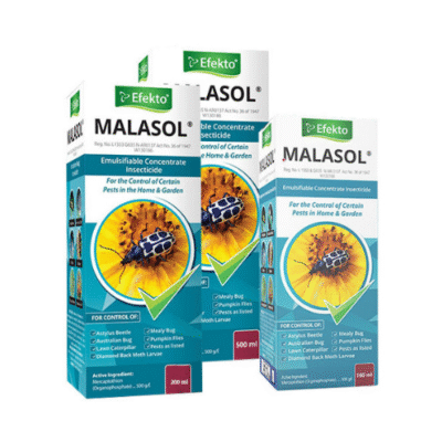 Malasol Insecticide Efekto