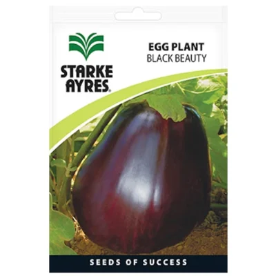 Eggplant - Black Beauty - Starke Ayres Seeds