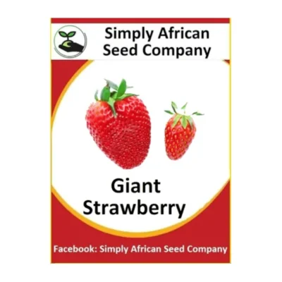 Giant Strawberry Seeds SASC Non-GMO