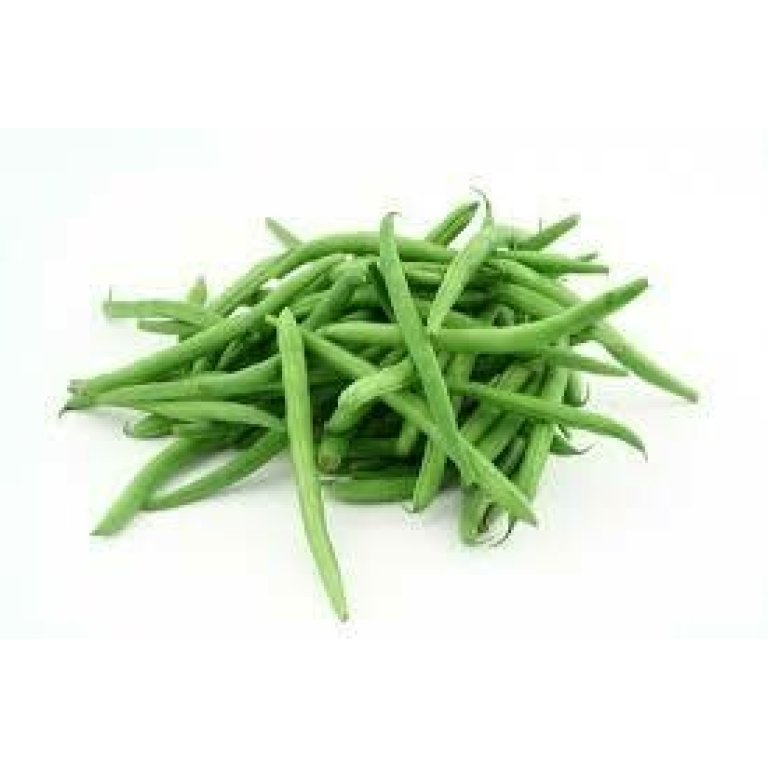 Green Bean Seedlings - Sibaya