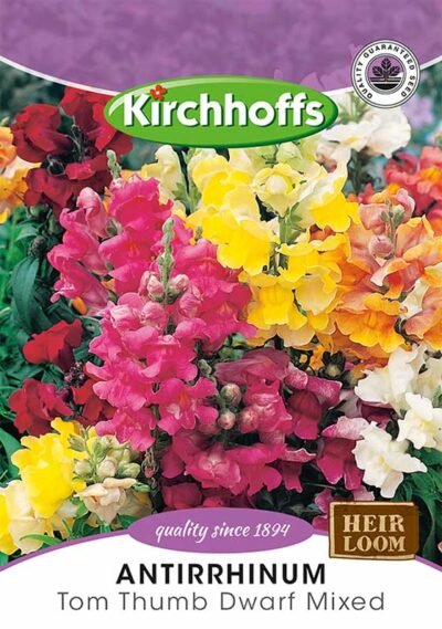 Antirrhinum Tom Thumb Dwarf Mixed Flowers Kirchhoffs Seeds Heirloom