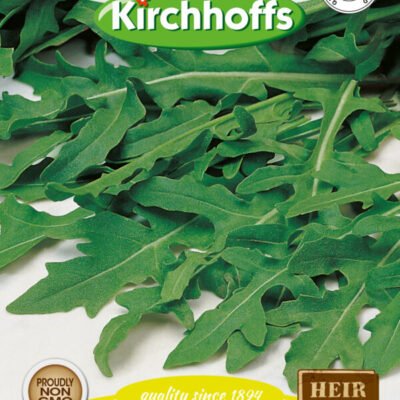 Rocket Arugula Kirchhoffs Seeds Heirloom Non-GMO