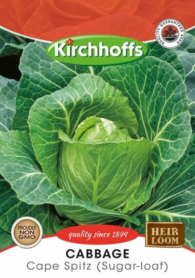 Cape Spitz Cabbage (Sugar-loaf) Kirchhoffs Seeds Heirloom Non-GMO