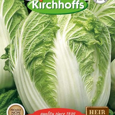 Chinese Cabbage Michilli Kirchhoffs Seeds Heirloom Non-GMO