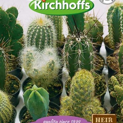 Cactus Mixed Kirchhoffs Seeds Heirloom