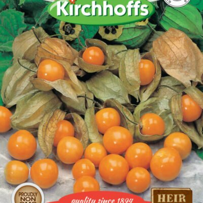 Cape Gooseberry Kirchhoffs Seeds Heirloom Non-GMO
