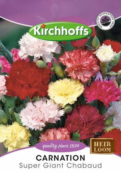 Carnation Super Giant Chabaud Flowers Kirchhoffs Seeds Heirloom