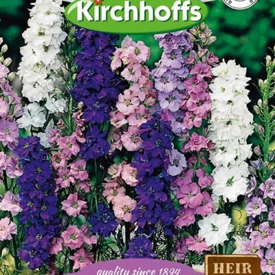 Delphinium Giant Pacific Mixed Flowers Kirchhoffs Seeds Heirloom