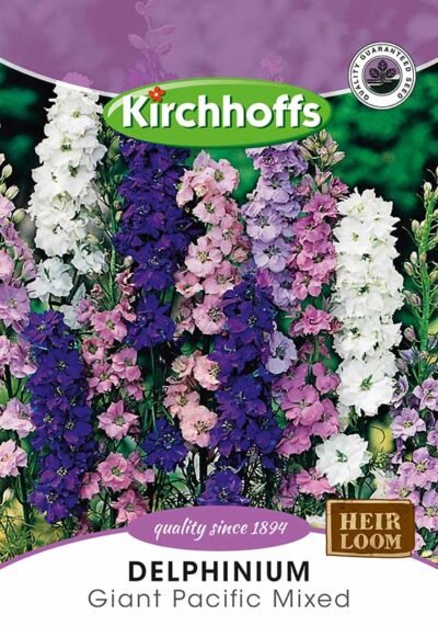Delphinium Giant Pacific Mixed Flowers Kirchhoffs Seeds Heirloom