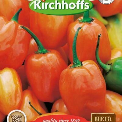Habanero Chilli Kirchhoffs Seeds Heirloom Non-GMO