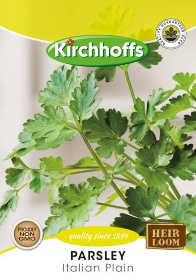 Parsley Italian Flat Leaf Kirchhoffs Seeds Heirloom Non-GMO