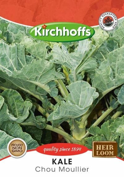 Kale Chou Moullier Kirchhoffs Seeds Heirloom Non-GMO