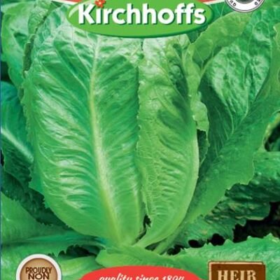 Cos Lettuce Paris White Kirchhoffs Seeds Heirloom Non-GMO
