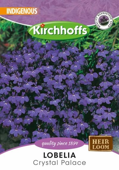 Lobelia Crystal Palace Fllower Kirchhoffs Seeds Heirloom