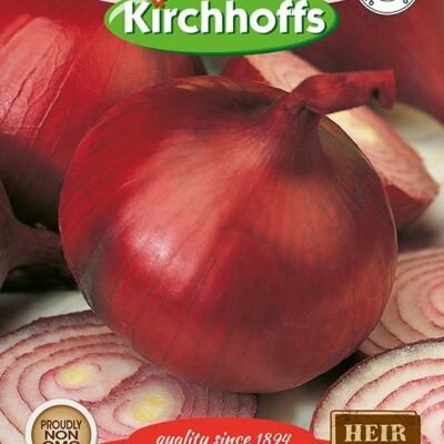 Red Onion Kirchhoffs Seeds Heirloom Non-GMO