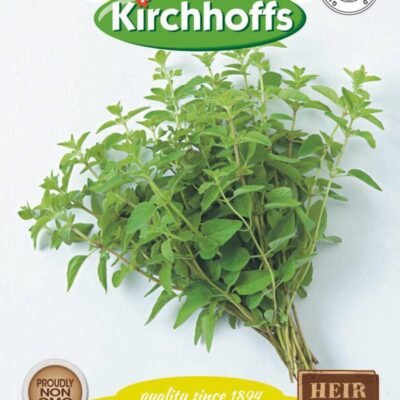 Origanum Herb Kirchhoffs Seeds Heirloom Non-GMO