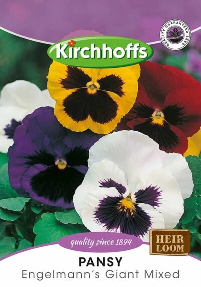 Pansy Flower Kirchhoffs Seeds Heirloom