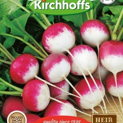 Radish Sparkler Kirchhoffs Seeds Heirloom Non-GMO