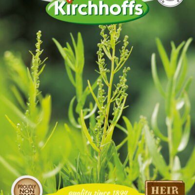 Russian Tarragon Kirchhoffs Seeds Heirloom Non-GMO