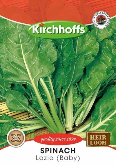 Baby Spinach Lazio Kirchhoffs Seeds Heirloom Non-GMO