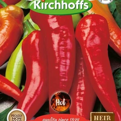 Tabasco Chilli Kirchhoffs Seeds Heirloom Non-GMO