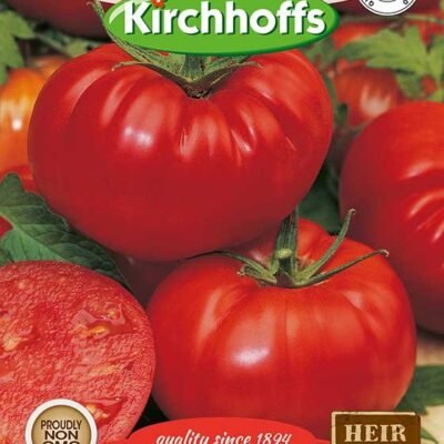 Oxheart Tomato Kirchhoffs Seeds Heirloom Non-GMO