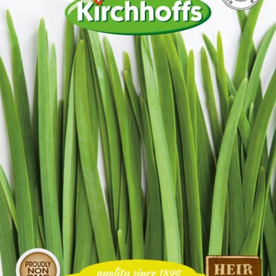 Chives Kirchhoffs Seeds Heirloom Non-GMO