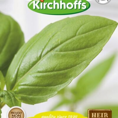 Lemon Basil Kirchhoffs Seeds Heirloom Non-GMO