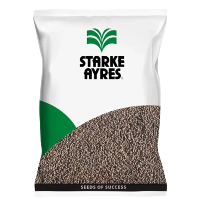Lucerne - Aurora 1kg - Starke Ayres Seeds