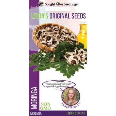 Moringa Linda's Original Seeds Non-GMO