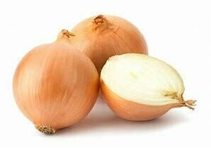 Onion Seedlings - Texas Gano