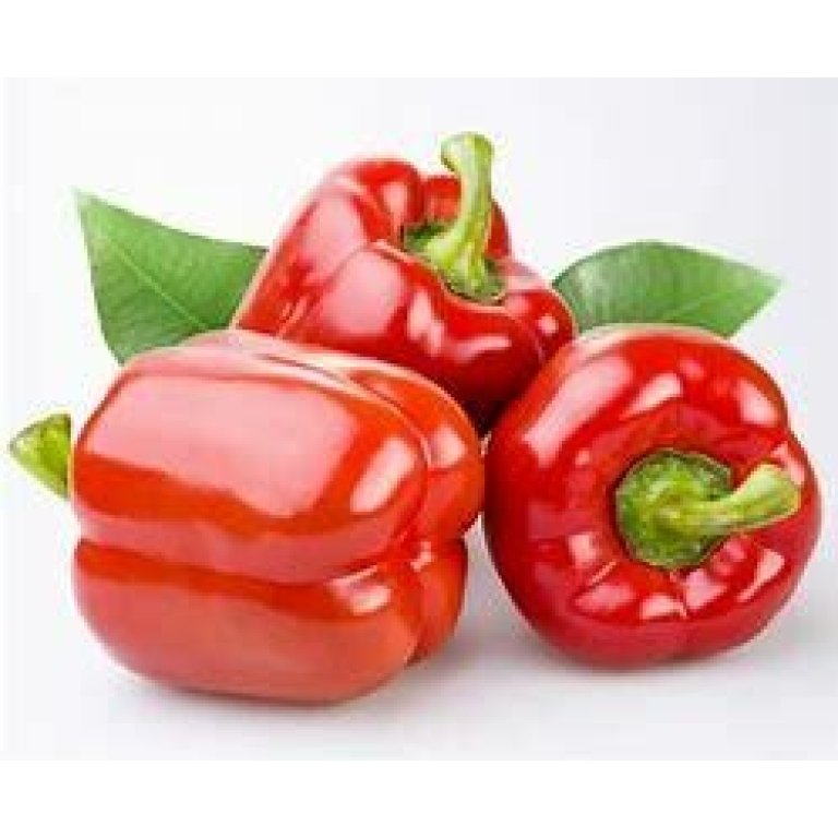 Pepper Seedlings - Red Santorini