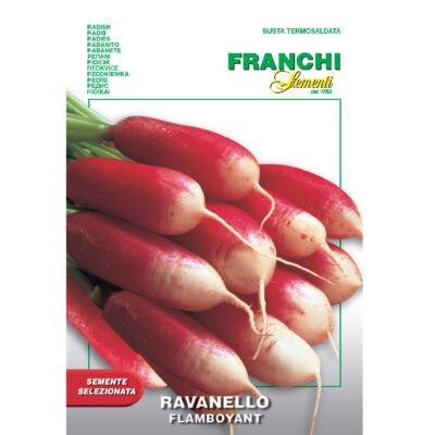 Radish Ravanello Flamboyant Franchi Sementi Seeds