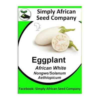 African White Eggplant Brinjal Seeds SASC Non-GMO