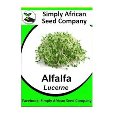 Alfalfa Lucerne Seeds SASC Non-GMO