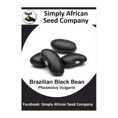 Brazilian Black Bean Seeds SASC Non-GMO