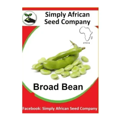 Broad Bean Seeds SASC Non-GMO