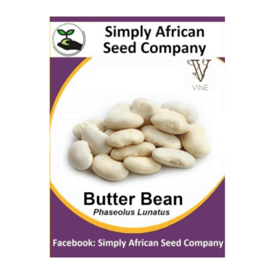 Butter Bean Seeds SASC Non-GMO