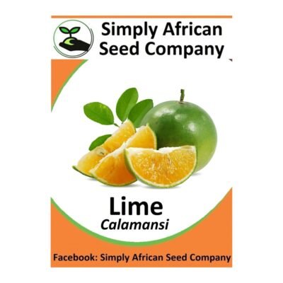 Calamansi Lime Seeds SASC Non-GMO