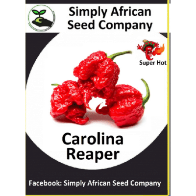 Carolina Reaper Chilli Pepper Seeds SASC